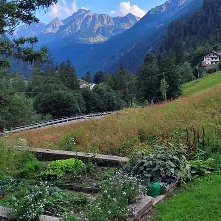 Bellissimo Con Vista Spettacolare Sul Monte Rosa In Affitto Al Mese